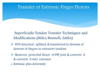 Transfer of Extrinsic Finger Flexors 
Superficialis Tendon Transfer Techniques and 
Modifications (Stiles; Bunnell; Littler) 
 FDS detached , splitted, & transferred to dorsum of 
dorsum of fingers to extensors tendons 
 Removes powerful flexor of PIP joint & converts it 
& converts it into extensor 
Intrinsic plus deformity 
 