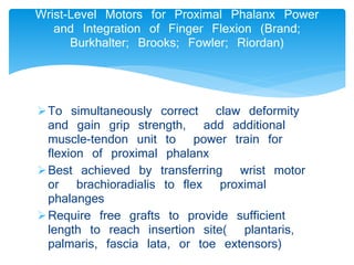 Wrist-Level Motors for Proximal Phalanx Power 
and Integration of Finger Flexion (Brand; 
Burkhalter; Brooks; Fowler; Riordan) 
To simultaneously correct claw deformity 
and gain grip strength, add additional 
muscle-tendon unit to power train for 
flexion of proximal phalanx 
Best achieved by transferring wrist motor 
or brachioradialis to flex proximal 
phalanges 
Require free grafts to provide sufficient 
length to reach insertion site( plantaris, 
palmaris, fascia lata, or toe extensors) 
 