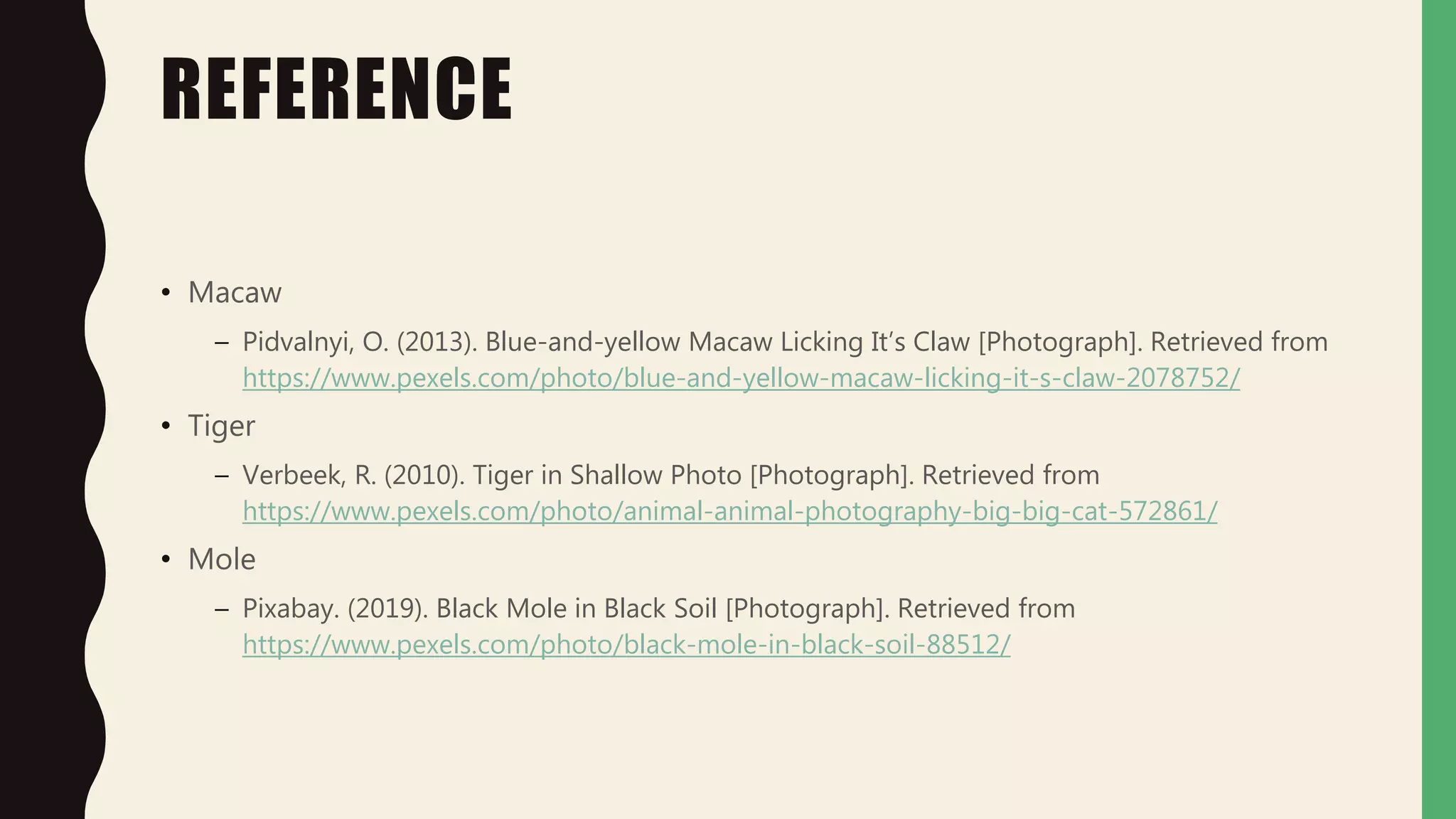 REFERENCE
• Macaw
– Pidvalnyi, O. (2013). Blue-and-yellow Macaw Licking It’s Claw [Photograph]. Retrieved from
https://www.pexels.com/photo/blue-and-yellow-macaw-licking-it-s-claw-2078752/
• Tiger
– Verbeek, R. (2010). Tiger in Shallow Photo [Photograph]. Retrieved from
https://www.pexels.com/photo/animal-animal-photography-big-big-cat-572861/
• Mole
– Pixabay. (2019). Black Mole in Black Soil [Photograph]. Retrieved from
https://www.pexels.com/photo/black-mole-in-black-soil-88512/
 