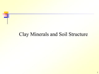 1
Clay Minerals and Soil Structure
 