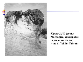 (c)2001
Brooks/Cole,
a
division
of
Thomson
Learning,
Inc.
Thomson
Learning
™
is
a
trademark
used
herein
under
license.
Figure 2.3 D (cont.)
Mechanical erosion due
to ocean waves and
wind at Yehliu, Taiwan
 