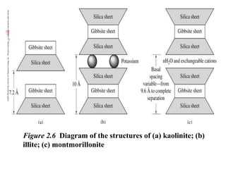 (c)2001
Brooks/Cole,
a
division
of
Thomson
Learning,
Inc.
Thomson
Learning
™
is
a
trademark
used
herein
under
license.
Figure 2.6 Diagram of the structures of (a) kaolinite; (b)
illite; (c) montmorillonite
 