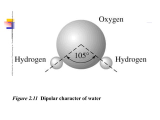(c)2001
Brooks/Cole,
a
division
of
Thomson
Learning,
Inc.
Thomson
Learning
™
is
a
trademark
used
herein
under
license.
Figure 2.11 Dipolar character of water
 