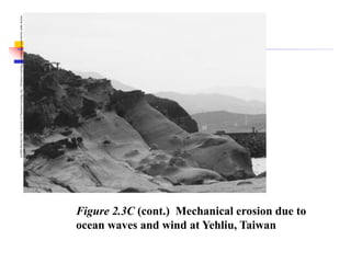 (c)2001
Brooks/Cole,
a
division
of
Thomson
Learning,
Inc.
Thomson
Learning
™
is
a
trademark
used
herein
under
license.
Figure 2.3C (cont.) Mechanical erosion due to
ocean waves and wind at Yehliu, Taiwan
 
