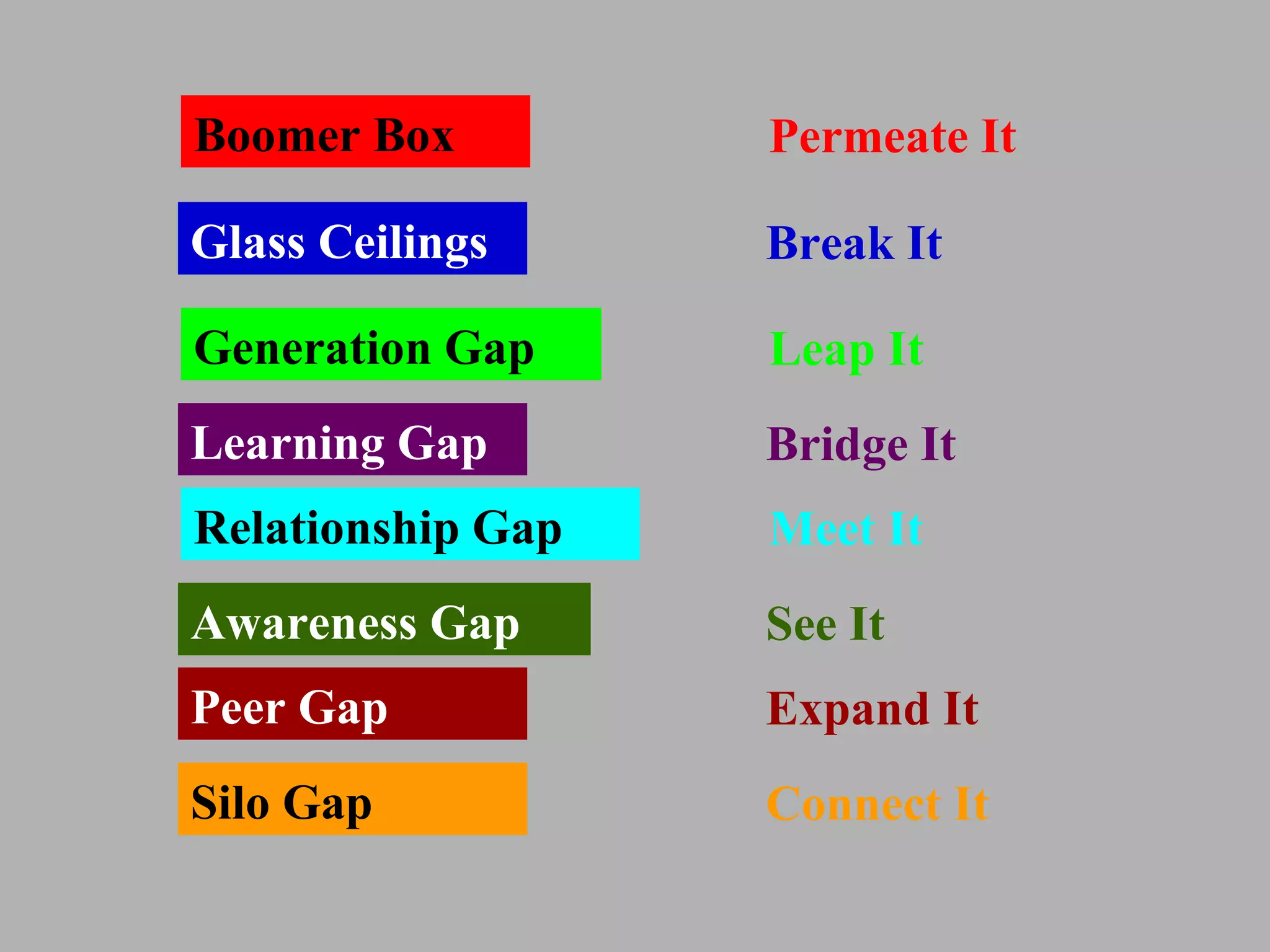 Boomer Box Relationship Gap Awareness Gap Peer Gap Silo Gap Glass Ceilings Generation Gap Learning Gap Permeate It Meet It See It Expand It Connect It Break It Leap It Bridge It 