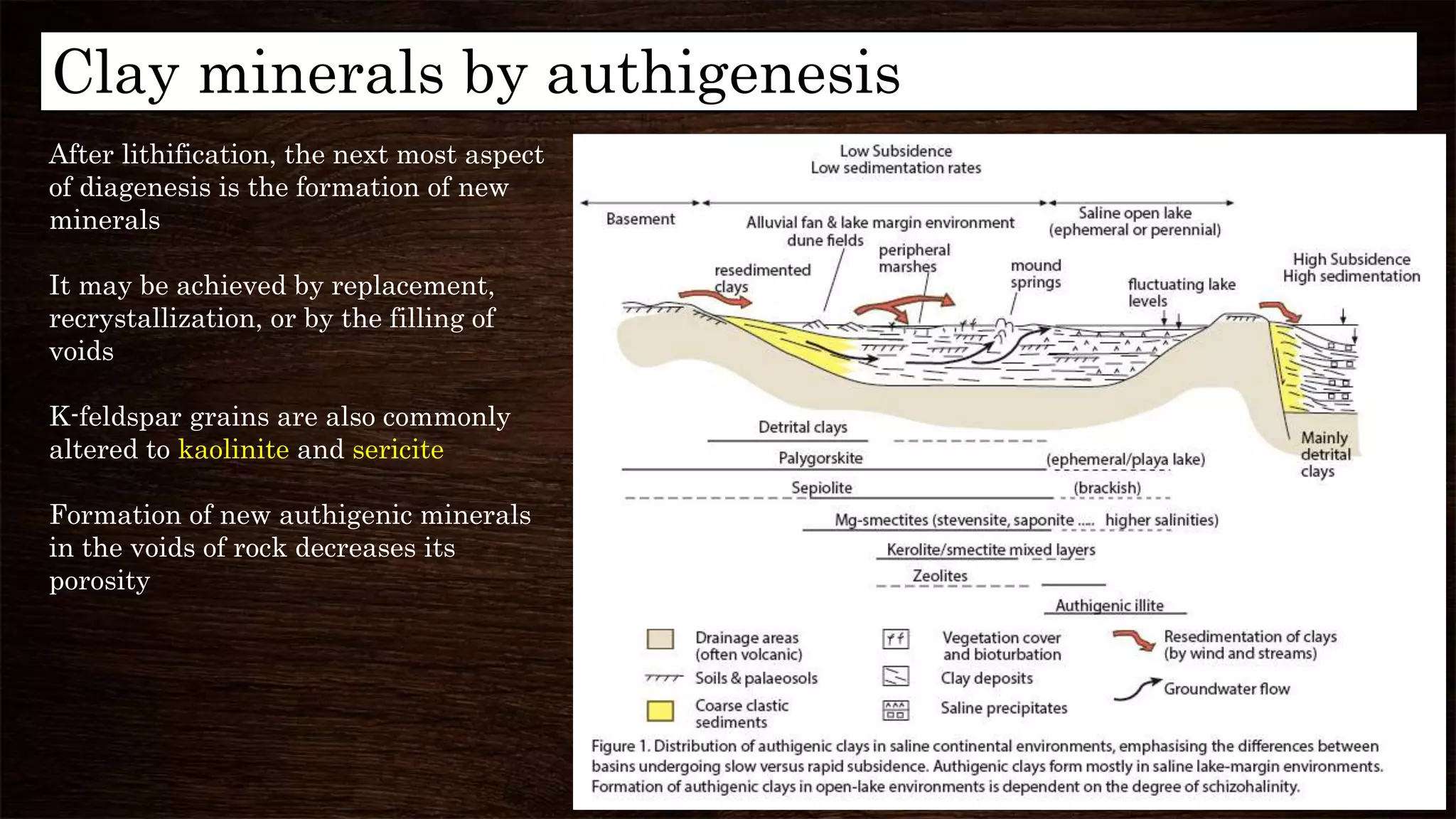 Clay minerals by authigenesis
After lithification, the next most aspect
of diagenesis is the formation of new
minerals
It may be achieved by replacement,
recrystallization, or by the filling of
voids
K-feldspar grains are also commonly
altered to kaolinite and sericite
Formation of new authigenic minerals
in the voids of rock decreases its
porosity
 