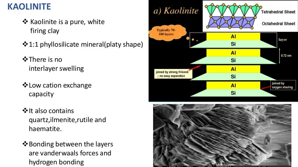 Clay mineral(mineralogy)