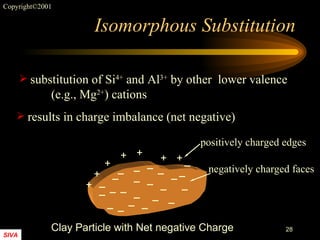 Isomorphous Substitution substitution of Si 4+  and Al 3+  by other  lower valence  (e.g., Mg 2+ ) cations results in charge imbalance (net negative) Clay Particle with Net negative Charge + + + + + + + _ _ _ _ _ _ _ _ _ _ _ _ _ _ _ _ _ _ _ _ _ _ _ positively charged edges negatively charged faces 