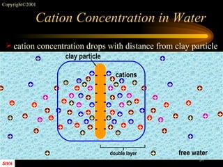 Cation Concentration in Water cation concentration drops with distance from clay particle free water + + + + + + + + + + + + + + + + + + + + + + + + + + + + + + + + + + + + + + + + + + + + + + + + + + + + + + + + + + + + + + + + + + + + + + + + + + + + + + + + + + cations -  - -  - -  - -  - -  - -  - -  - clay particle double layer 