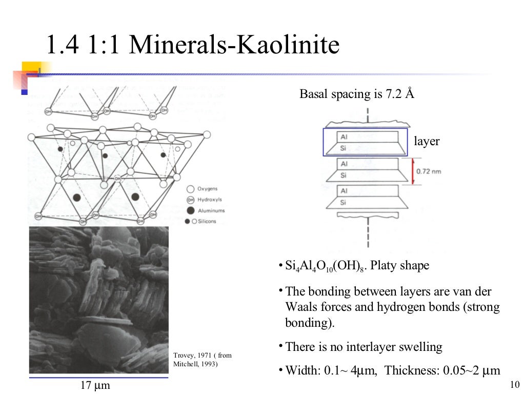 Clay Minerals And Soil Structure