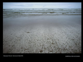 Clayoquot Sound, Vancouver Island BC GABRIOLA SEA KAYAKING 