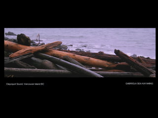 Clayoquot Sound, Vancouver Island BC GABRIOLA SEA KAYAKING 