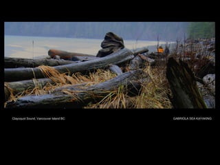 Clayoquot Sound, Vancouver Island BC GABRIOLA SEA KAYAKING 