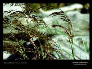 Clayoquot Sound, Vancouver Island BC GABRIOLA SEA KAYAKING www.kayaktoursbc.com 