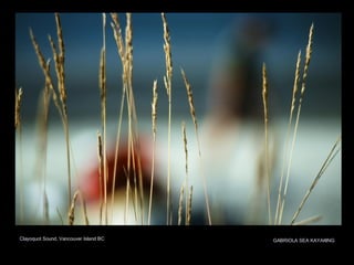 Clayoquot Sound, Vancouver Island BC GABRIOLA SEA KAYAKING 