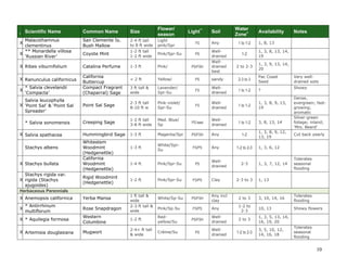 10 
I Scientific Name Common Name Size Flower/ season Light** Soil Water Zone+ Availability Notes 
X 
Malacothamnus clementinus 
San Clemente Is. Bush Mallow 
2-4 ft tall 
to 8 ft wide 
Light pink/Spr 
FS 
Any 
1 to 1-2 
1, 8, 13 
X 
** Monardella villosa ‘Russian River’ 
Coyote Mint 
1-2 ft tall 
1-2 ft wide 
Pink/Spr-Su 
PS 
Well- drained 
1-2 
1, 3, 8, 13, 14, 19 
X 
Ribes viburnifolium 
Catalina Perfume 
1-3 ft 
Pink/ 
PS/FSH 
Well- drained best 
2 to 2-3 
1, 3, 9, 13, 14, 20 
X 
Ranunculus californicus 
California Buttercup 
< 2 ft 
Yellow/ 
PS 
sandy 
2-3 to 3 
Pac Coast Seed 
Very well- drained soils 
X 
* Salvia clevelandii ‘Compacta’ 
Compact Fragrant (Chaparral) Sage 
3 ft tall & wide 
Lavender/ 
Spr-Su 
FS 
Well- drained 
1 to 1-2 
? 
Showy 
X 
Salvia leucophylla ‘Point Sal’ & ‘Point Sal Spreader’ 
Point Sal Sage 
2-3 ft tall 
8-10 ft w 
Pink-violet/ Spr-Su 
FS 
Well- drained 
1 to 1-2 
1, 3, 8, 9, 13, 19 
Dense, evergreen; fast- growing; aromatic 
* Salvia sonomensis 
Creeping Sage 
1-2 ft tall 
3-8 ft wide 
Med. Blue/ Sp 
PS best 
Well- drained 
1 to 1-2 
3, 8, 13, 14 
Silver-green foliage; inland; ‘Mrs. Beard’ 
X 
Salvia spathacea 
Hummingbird Sage 
1-3 ft 
Magenta/Spr 
PS/FSH 
Any 
1-2 
1, 3, 8, 9, 12, 13, 19 
Cut back yearly 
Stachys albens 
Whitestem Woodmint (Hedgenettle) 
1-3 ft 
White/Spr- Su 
FS/PS 
Any 
1-2 to 2-3 
1, 3, 6, 12 
X 
Stachys bullata 
California Woodmint (Hedgenettle) 
1-4 ft 
Pink/Spr-Su 
PS 
Well- drained 
2-3 
1, 3, 7, 12, 14 
Tolerates seasonal flooding 
X 
Stachys rigida var. rigida (Stachys ajugoides) 
Rigid Woodmint (Hedgenettle) 
1-2 ft 
Pink/Spr-Su 
FS/PS 
Clay 
2-3 to 3 
1, 13 
Herbaceous Perennials 
X 
Anemopsis californica 
Yerba Mansa 
1 ft tall & wide 
White/Sp-Su 
PS/FSH 
Any incl clay 
2 to 3 
3, 10, 14, 16 
Tolerates flooding 
X 
* Antirrhinum multiflorum 
Rose Snapdragon 
2-3 ft tall & wide 
Pink/Sp-Su 
FS/PS 
Any 
1-2 to 
2-3 
10, 13 
Showy flowers 
X 
* Aquilegia formosa 
Western Columbine 
1-2 ft 
Red- yellow/Su 
PS/FSH 
Well- drained 
2 to 3 
1, 3, 5, 13, 14, 16, 19, 20 
X 
Artemisia douglasiana 
Mugwort 
2-4+ ft tall & wide 
Crème/Su 
PS 
Well- drained 
1-2 to 2-3 
3, 5, 10, 12, 14, 16, 18 
Tolerates seasonal flooding  