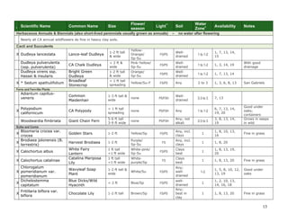 13 
I Scientific Name Common Name Size Flower/ season Light** Soil Water Zone+ Availability Notes Herbaceous Annuals & Biennials (also short-lived perennials usually grown as annuals) – no water after flowering 
Nearly all CA annual wildflowers do fine in heavy clay soils. Cacti and Succulents 
X 
Dudleya lanceolata 
Lance-leaf Dudleya 
1-2 ft tall & wide 
Yellow- Orange/ 
Sp-Su 
FS/PS 
Well- drained 
1 to 1-2 
1, 7, 13, 14, 15 
Dudleya pulverulenta (ssp. pulverulenta) 
CA Chalk Dudleya 
< 2 ft & wide 
Pink-Yellow/ 
Sp-Su 
FS/PS 
Well- drained 
1 to 1-2 
1, 3, 14, 19 
With good drainage 
Dudleya virens ssp. Hassei & insularis 
Bright Green Dudleya 
1-2 ft tall & wide 
Orange/ 
Sp-Su 
FS/PS 
Well- drained 
1 to 1-2 
1, 7, 13, 14 
X 
* Sedum spathulifolium 
Broadleaf Stonecrop 
< 1 ft tall 
spreading 
Yellow/Su-F 
FS/PS 
Any 
2 to 3 
1, 3, 6, 8, 13 
San Gabriels Ferns and Fern-like Plants 
Adiantum capillus- veneris 
Common Maidenhair 
1-3 ft tall & wide 
none 
PS/FSH 
Well- drained 
2-3 to 3 
7, 13 
X 
Polypodium californicum 
CA Polypody 
< 1 ft tall 
spreading 
none 
PS/FSH 
Any 
1 to 1-2 
6, 7, 13, 14, 19, 20 
Good under oaks; containers 
Woodwardia fimbriata 
Giant Chain Fern 
5-6 ft tall 
3-9 ft wide 
none 
PS/FSH 
Any; not alkali 
2-3 to 3 
3, 8, 13, 14, 19 
Grows in seeps in wild Bulbs and Corms 
X 
Bloomeria crocea var. crocea 
Golden Stars 
1-2 ft 
Yellow/Sp 
FS/PS 
Any, incl. clays 
1 
1, 8, 10, 13, 16 
Fine in grass 
X 
Brodiaea jolonensis (B. terrestris) 
Harvest Brodiaea 
1-2 ft 
Purple/ 
Sp-Su 
FS 
Any, incl. clays 
1 
1, 8, 20 
X 
Calochortus albus 
White Fairy Lantern 
1 ft tall 
<1 ft wide 
White-pink/ Sp-Su 
FS/PS 
Clays best 
1 
1, 8, 13, 19, 20 
X 
Calochortus catalinae 
Catalina Mariposa Lily 
1 ft tall 
<1 ft wide 
White- purple/Sp 
FS 
Clays best 
1 
1, 8, 13, 20 
Fine in grass 
X 
Chlorogalum pomeridianum var. pomeridianum 
Wavyleaf Soap Plant 
1-2 ft tall & wide 
White/Su 
FS/PS 
Any; well- drained 
1-2 
1, 5, 8, 10, 12, 13, 19 
Good under oaks 
X 
Dichelostemma capitatum 
Blue Dicks/Wild Hyacinth 
< 2 ft 
Blue/Sp 
FS/PS 
well- drained 
1 
1, 2, 10, 13, 14, 16, 18 
X 
Fritillaria biflora var. biflora 
Chocolate Lily 
1-2 ft tall 
Brown/Sp 
FS/PS 
Any; best in clay 
1 
1, 8, 13, 20 
Fine in grass  
