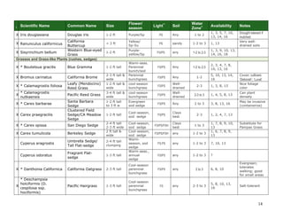 14 
I Scientific Name Common Name Size Flower/ season Light** Soil Water Zone+ Availability Notes 
X 
Iris douglasiana 
Douglas iris 
1-2 ft 
Purple/Sp 
PS 
Any 
1 to 2 
1, 3, 5, 7, 10, 13, 14, 16 
Drought tolerant if mulched 
X 
Ranunculus californicus 
California Buttercup 
< 2 ft 
Yellow/ 
Sp-Su 
PS 
sandy 
1-2 to 3 
1, 13 
Very well- drained soils 
X 
Sisyrinchium bellum 
Western Blue-eyed Grass 
1-2 ft 
Purple- yellow/Sp 
FS/PS 
any 
1-2 to 2-3 
1, 3, 9, 10, 13, 14, 16, 18 
Grasses and Grass-like Plants (rushes, sedges) 
X 
* Bouteloua gracilis 
Blue Gramma 
1-2 ft tall 
Warm-seas. Perennial bunch/sod 
FS/PS 
Any 
1-2 to 2-3 
2, 3, 4, 7, 8, 10, 13, 16 
X 
Bromus carinatus 
California Brome 
2-3 ft tall & wide 
Perennial bunchgrass 
FS/PS 
Any 
1-2 
5, 10, 13, 14, 16 
Cover; cultivars ‘Deborah’; ‘Luval’ 
X 
* Calamagrostis foliosa 
Leafy (Mendocino) Reed Grass 
1-2 ft tall & wide 
cool-season bunchgrass 
FS/PS 
Well- drained 
2-3 
1, 3, 8, 13 
Nice foliage color 
X 
* Calamagrostis nutkaensis 
Pacific Reed Grass 
3-4 ft tall & wide 
cool-season bunchgrass 
FS/PS 
Well- drained 
2-3 to 3 
1, 4, 5, 8, 13 
Can plant densely 
X 
* Carex barbarae 
Santa Barbara Sedge 
1-2 ft tall 
to 3 ft w 
Evergreen sod sedge 
FS/PS 
Any 
2 to 3 
3, 8, 13, 16 
May be invasive (containerize) 
X 
Carex praegracilis 
Clustered Field Sedge/CA Meadow Sedge 
1-2 ft tall 
Cool-season, sod sedge 
FS/PS 
Clays best 
2-3 
1, 2, 4, 7, 13 
X 
* Carex spissa 
San Diego Sedge 
2-4 ft tall 
2-3 ft wide 
Cool-season, sod sedge 
FS/PS/FSH 
Clays best 
1 to 3 
1, 7, 8, 9, 10, 13 
Substitute for Pampas Grass 
X 
Carex tumulicola 
Berkeley Sedge 
2 ft tall & wide 
Cool-season, sod sedge 
FS/PS/FSH 
any 
1-2 to 3 
1, 6, 7, 8, 9, 13 
Cyperus eragrostis 
Umbrella Sedge/ Tall Flat-sedge 
2-4 ft tall 
clumping 
Warm- season, sod sedge 
FS.PS 
any 
1-2 to 3 
7, 10, 13 
Cyperus odoratus 
Fragrant Flat- sedge 
1-3 ft tall 
Warm-seas., annual sedge 
FS/PS 
any 
1-2 to 3 
? 
X 
* Danthonia Californica 
California Oatgrass 
2-3 ft tall 
Cool-season perennial bunchgrass 
FS/PS 
any 
2 to 3 
6, 8, 10 
Evergreen; tolerates walking; good for small areas 
X 
* Deschampsia holciformis (D. cespitosa ssp. hociformis) 
Pacific Hairgrass 
1-3 ft tall 
Cool-season perennial bunchgrass 
FS 
any 
2-3 to 3 
5, 8, 10, 13, 16 
Salt-tolerant  