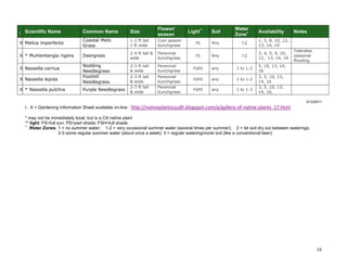 16 
I Scientific Name Common Name Size Flower/ season Light** Soil Water Zone+ Availability Notes 
X 
Melica imperfecta 
Coastal Melic Grass 
1-2 ft tall 
1 ft wide 
Cool season bunchgrass 
PS 
Any 
1-2 
1, 3, 8, 10, 12, 13, 14, 19 
X 
* Muhlenbergia rigens 
Deergrass 
2-4 ft tall & wide 
Perennial bunchgrass 
FS 
Any 
1-2 
3, 4, 5, 9, 10, 12, 13, 14, 16 
Tolerates seasonal flooding 
X 
Nassella cernua 
Nodding Needlegrass 
2-3 ft tall & wide 
Perennial bunchgrass 
FS/PS 
any 
1 to 1-2 
5, 10, 13, 14, 16 
X 
Nassella lepida 
Foothill Needlegrass 
2-3 ft tall & wide 
Perennial bunchgrass 
FS/PS 
any 
1 to 1-2 
3, 5, 10, 13, 14, 16 
X 
* Nassella pulchra 
Purple Needlegrass 
2-3 ft tall & wide 
Perennial bunchgrass 
FS/PS 
any 
1 to 1-2 
3, 5, 10, 13, 14, 16, 
3/12/2011 
I : X = Gardening Information Sheet available on-line : http://nativeplantscsudh.blogspot.com/p/gallery-of-native-plants_17.html 
* may not be immediately local, but is a CA native plant 
** light: FS=full sun; PS=part shade; FSH=full shade 
+ Water Zones: 1 = no summer water; 1-2 = very occasional summer water (several times per summer); 2 = let soil dry out between waterings; 
2-3 some regular summer water (about once a week); 3 = regular watering/moist soil (like a conventional lawn) 
