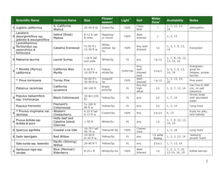 2 
I Scientific Name Common Name Size Flower/ season Light** Soil Water Zone+ Availability Notes 
X 
Juglans californica 
S. California Walnut 
20-40 ft ta 
Green/Sp 
FS/PS 
Clays best 
1 
1, 7, 12, 13, 14 
allelopathic 
X 
Lavatera assurgentiflora ssp. glabrata & assurgentiflora 
Island (Rose) Mallow 
8-12 ft tall & wide 
Magenta/ 
yr round 
FS/PS 
Well- drained 
1 
1, 2, 13 
X 
Lyonothamnus floribundus ssp. aspleniifolius & floribundus 
Catalina Ironwood 
To 50 ft t 
15-30 ft w 
White- yellow/ Sp- Su 
FS/PS 
Any well- drained 
1-2 
1, 3, 7, 9, 13, 14 
Evergreen 
X 
Malosma laurina 
Laurel Sumac 
<18 ft tall and wide 
White/Sp 
FS 
any 
1 to 1-2 
1, 7, 8, 10, 12, 13, 14, 16 
X 
* Morella (Myrica) californica 
California Wax Myrtle 
6-30 ft t 
10-20 ft w 
Yellow- white/Sp 
FS/PS/ FSH 
Any; well- drained best 
2-3 to 3 
3, 5, 7, 9, 13, 14, 19 
Evergreen; good for hedges; purple berries 
* Pinus torreyana 
Torrey Pine 
40-60 ft t 
30-50 ft w 
Insignif/ 
Sp 
FS/PS 
Well- drained 
1 to 1-2 
1, 3, 13, 14, 20 
Pine scent 
Platanus racemosa 
California sycamore 
60-100 ft 
Bright pink/Sp 
FS 
Any but high alkali 
2-3 
1, 3, 7, 12, 14 
Can live to 400 yrs; no salt tolerance 
X 
Populus balsamifera ssp. trichocarpa 
Black Cottonwood 
30-60 (100 ft) 
Yellow/Sp 
FS 
any 
2-3 
1, 7, 14 
Grows large with abundant water 
Populus fremontii 
Fremont’s Cottonwood 
To 100 ft 
80 ft w 
Yellow/Sp 
FS 
Any 
2-3 
1, 3, 14 
Long-lived 
X 
* Prunus virginiana var. demissa 
Western Chokecherry 
6-25 ft tall 
6-15 ft w 
Cream/Sp 
FS/PS 
Any 
2 to 2-3 
6, 13 
fruits for jelly, bird habitat 
X 
Prunus ilicifolia ssp. ilicifolia & lyonii 
Holly-leaf and Catalina Island Cherries 
< 50 ft 
White/Su 
PS 
any 
1-2 
1, 7, 9, 12, 13, 14, 19 
X 
Quercus agrifolia 
Coastal Live Oak 
10-70 f tall 
40-70 w. 
Yellow/W-Sp 
FS/PS 
Coarse- med. 
1 
1, 2, 18 
Long-lived 
X 
Salix laevigata 
Red Willow 
10-30 ft 
to 45 ft w. 
Yellow/Sp 
FS 
any 
1-2; winter flooding 
1, 2, 3, 12, 14 
‘weeping’ growth habit 
Salix lucida ssp. lasiandra 
Pacific (Shining) Willow 
20-40 ft T 
Yellow/Sp 
FS 
any 
2-3 to 3 
1, 7, 13, 14 
X 
Sambucus nigra ssp. cerulea 
Blue (Mexican) Elderberry 
8-25+ ft 
White/Sp-Su 
FS/PS 
Well- drained 
1-2 
1, 2, 3, 7, 10, 12-14, 16, 19 
Edible berries  