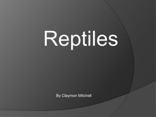 Reptiles

 By Claymon Mitchell
 