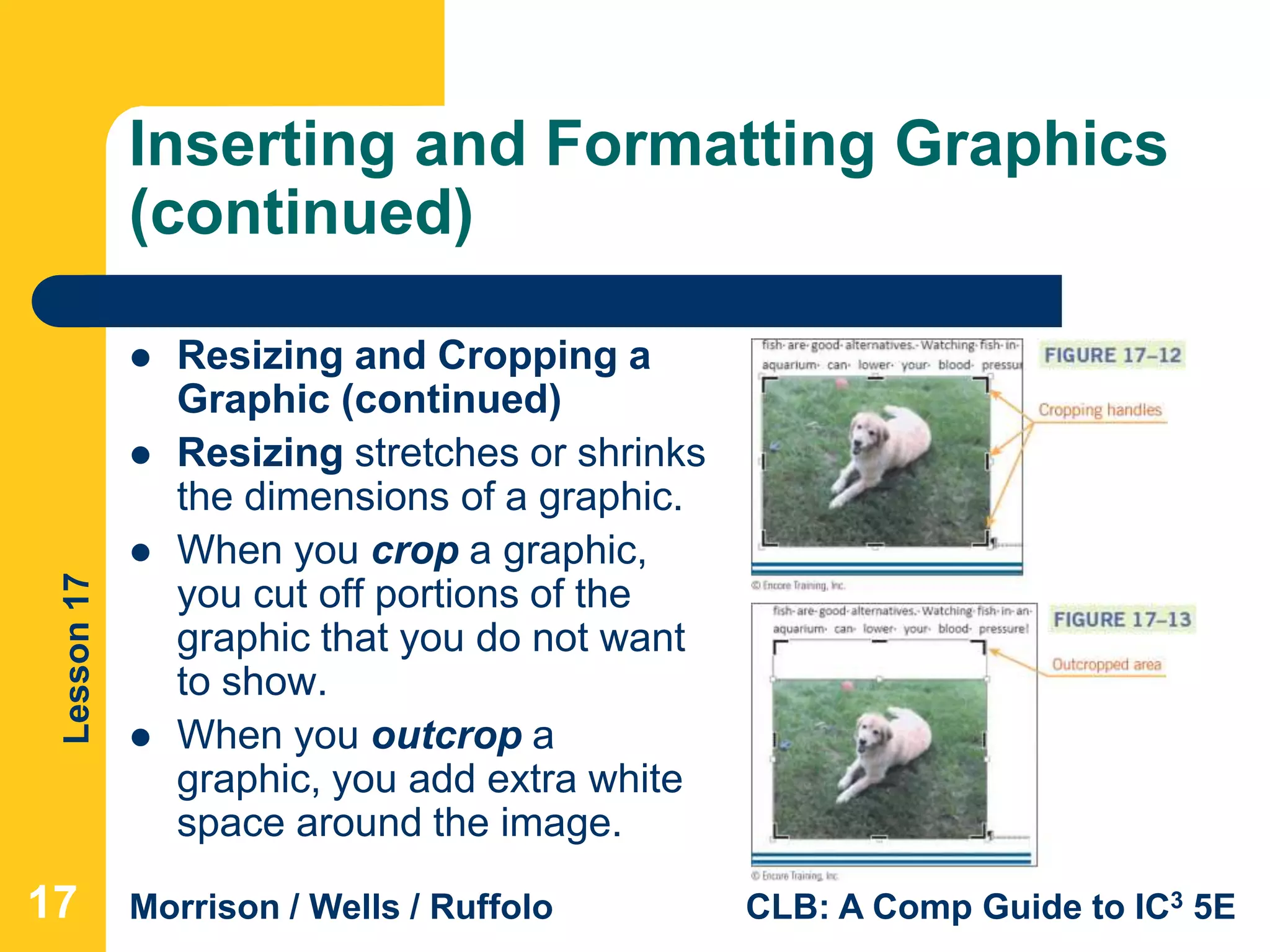Lesson17
Morrison / Wells / Ruffolo CLB: A Comp Guide to IC3 5E
Inserting and Formatting Graphics
(continued)
 Resizing and Cropping a
Graphic (continued)
 Resizing stretches or shrinks
the dimensions of a graphic.
 When you crop a graphic,
you cut off portions of the
graphic that you do not want
to show.
 When you outcrop a
graphic, you add extra white
space around the image.
17
 