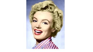 Célébrités, devine qui c'est!