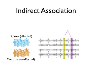 Indirect Association


   Cases (affected)
                        --A--------C--------A----G---X----T---C---A----
                        --T--------G--------A----G---X----C---C---A----
                        --A--------G--------G----G---X----C---C---A----
                        --A--------C--------A----G---X----T---C---A----
                        --T--------C--------A----G---X----T---C---A----
                        --T--------C--------A----T---X----T---A---A----

                        --A--------C--------A----G---X----T---C---A----
                        --A--------C--------A----G---X----T---C---A----
                        --A--------C--------A----G---X----T---C---G----
                        --T--------C--------A----T---X----T---C---A----
                        --A--------C--------A----G---X----T---C---A----
                        --A--------C--------G----T---X----C---A---A----
                        --A--------C--------A----G---X----C---C---G----

Controls (unaffected)
 