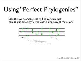 Using “Perfect Phylogenies”
 Use the four-gamete test to ﬁnd regions that
 can be explained by a tree with no recurrent mutations




                                         Mailund, Besenbacher & Schierup 2006
 