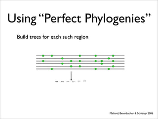 Using “Perfect Phylogenies”
 Build trees for each such region




                                    Mailund, Besenbacher & Schierup 2006
 