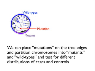 Wild-types



                   Mutation

         Mutants


We can place “mutations” on the tree edges
and partition chromosomes into “mutants”
and “wild-types” and test for different
distributions of cases and controls
 