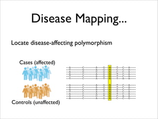 Disease Mapping...
Locate disease-affecting polymorphism

   Cases (affected)
                        --A--------C--------A----G---X----T---C---A----
                        --T--------G--------A----G---X----C---C---A----
                        --A--------G--------G----G---X----C---C---A----
                        --A--------C--------A----G---X----T---C---A----
                        --T--------C--------A----G---X----T---C---A----
                        --T--------C--------A----T---X----T---A---A----

                        --A--------C--------A----G---X----T---C---A----
                        --A--------C--------A----G---X----T---C---A----
                        --A--------C--------A----G---X----T---C---G----
                        --T--------C--------A----T---X----T---C---A----
                        --A--------C--------A----G---X----T---C---A----
                        --A--------C--------G----T---X----C---A---A----
                        --A--------C--------A----G---X----C---C---G----

Controls (unaffected)
 