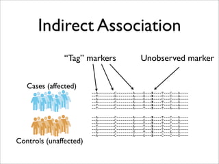 Indirect Association
               “Tag” markers                   Unobserved marker


   Cases (affected)
                        --A--------C--------A----G---X----T---C---A----
                        --T--------G--------A----G---X----C---C---A----
                        --A--------G--------G----G---X----C---C---A----
                        --A--------C--------A----G---X----T---C---A----
                        --T--------C--------A----G---X----T---C---A----
                        --T--------C--------A----T---X----T---A---A----

                        --A--------C--------A----G---X----T---C---A----
                        --A--------C--------A----G---X----T---C---A----
                        --A--------C--------A----G---X----T---C---G----
                        --T--------C--------A----T---X----T---C---A----
                        --A--------C--------A----G---X----T---C---A----
                        --A--------C--------G----T---X----C---A---A----
                        --A--------C--------A----G---X----C---C---G----

Controls (unaffected)
 