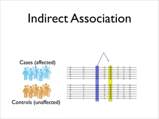 Indirect Association


   Cases (affected)
                        --A--------C--------A----G---X----T---C---A----
                        --T--------G--------A----G---X----C---C---A----
                        --A--------G--------G----G---X----C---C---A----
                        --A--------C--------A----G---X----T---C---A----
                        --T--------C--------A----G---X----T---C---A----
                        --T--------C--------A----T---X----T---A---A----

                        --A--------C--------A----G---X----T---C---A----
                        --A--------C--------A----G---X----T---C---A----
                        --A--------C--------A----G---X----T---C---G----
                        --T--------C--------A----T---X----T---C---A----
                        --A--------C--------A----G---X----T---C---A----
                        --A--------C--------G----T---X----C---A---A----
                        --A--------C--------A----G---X----C---C---G----

Controls (unaffected)
 