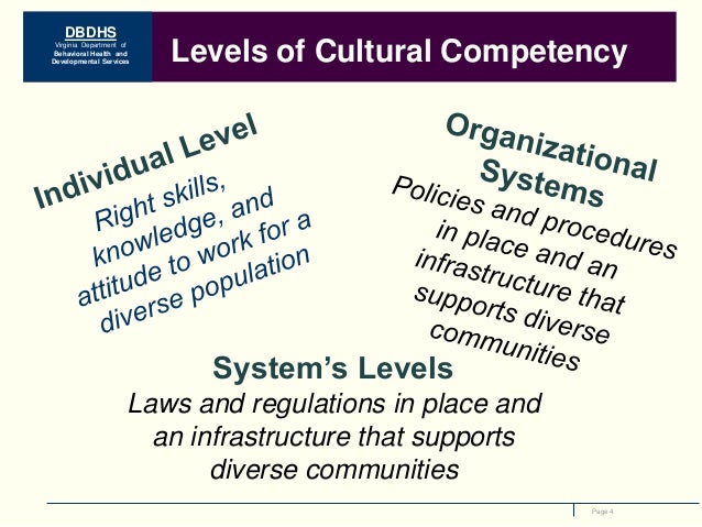 Disability services cultural and linguistic diversity strategy