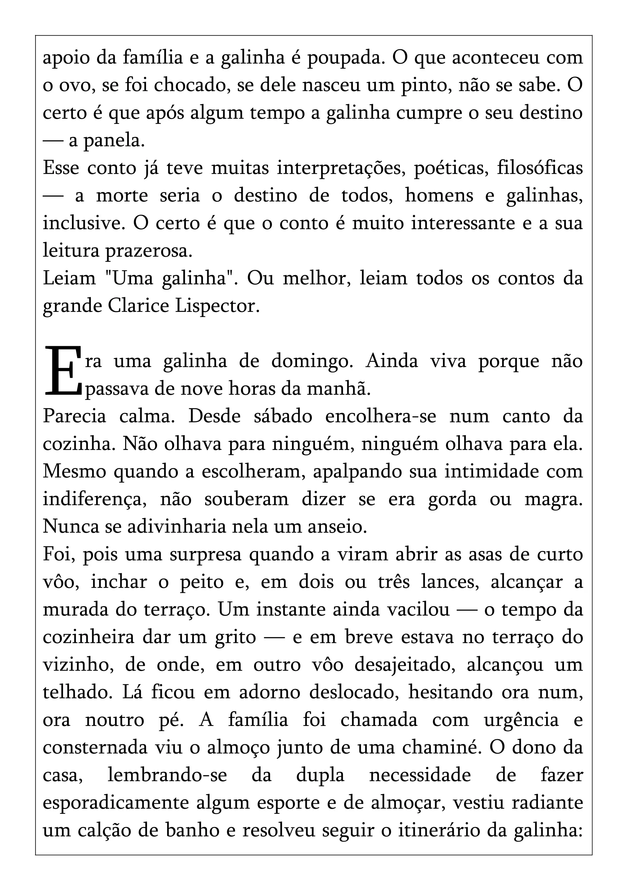 apoio da família e a galinha é poupada. O que aconteceu com
o ovo, se foi chocado, se dele nasceu um pinto, não se sabe. O
certo é que após algum tempo a galinha cumpre o seu destino
— a panela.
Esse conto já teve muitas interpretações, poéticas, filosóficas
— a morte seria o destino de todos, homens e galinhas,
inclusive. O certo é que o conto é muito interessante e a sua
leitura prazerosa.
Leiam "Uma galinha". Ou melhor, leiam todos os contos da
grande Clarice Lispector.
ra uma galinha de domingo. Ainda viva porque não
passava de nove horas da manhã.EParecia calma. Desde sábado encolhera-se num canto da
cozinha. Não olhava para ninguém, ninguém olhava para ela.
Mesmo quando a escolheram, apalpando sua intimidade com
indiferença, não souberam dizer se era gorda ou magra.
Nunca se adivinharia nela um anseio.
Foi, pois uma surpresa quando a viram abrir as asas de curto
vôo, inchar o peito e, em dois ou três lances, alcançar a
murada do terraço. Um instante ainda vacilou — o tempo da
cozinheira dar um grito — e em breve estava no terraço do
vizinho, de onde, em outro vôo desajeitado, alcançou um
telhado. Lá ficou em adorno deslocado, hesitando ora num,
ora noutro pé. A família foi chamada com urgência e
consternada viu o almoço junto de uma chaminé. O dono da
casa, lembrando-se da dupla necessidade de fazer
esporadicamente algum esporte e de almoçar, vestiu radiante
um calção de banho e resolveu seguir o itinerário da galinha:
 