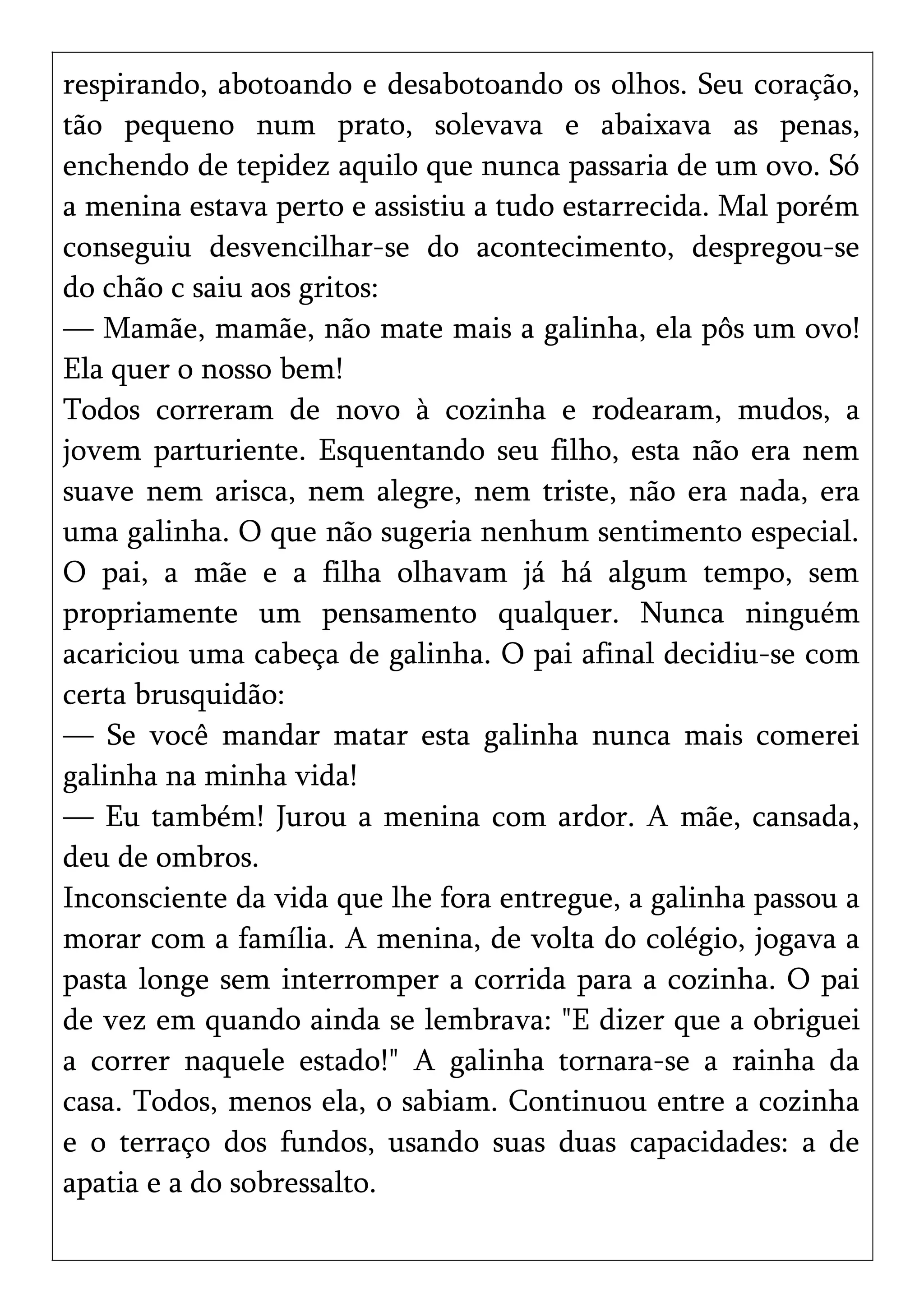 respirando, abotoando e desabotoando os olhos. Seu coração,
tão pequeno num prato, solevava e abaixava as penas,
enchendo de tepidez aquilo que nunca passaria de um ovo. Só
a menina estava perto e assistiu a tudo estarrecida. Mal porém
conseguiu desvencilhar-se do acontecimento, despregou-se
do chão c saiu aos gritos:
— Mamãe, mamãe, não mate mais a galinha, ela pôs um ovo!
Ela quer o nosso bem!
Todos correram de novo à cozinha e rodearam, mudos, a
jovem parturiente. Esquentando seu filho, esta não era nem
suave nem arisca, nem alegre, nem triste, não era nada, era
uma galinha. O que não sugeria nenhum sentimento especial.
O pai, a mãe e a filha olhavam já há algum tempo, sem
propriamente um pensamento qualquer. Nunca ninguém
acariciou uma cabeça de galinha. O pai afinal decidiu-se com
certa brusquidão:
— Se você mandar matar esta galinha nunca mais comerei
galinha na minha vida!
— Eu também! Jurou a menina com ardor. A mãe, cansada,
deu de ombros.
Inconsciente da vida que lhe fora entregue, a galinha passou a
morar com a família. A menina, de volta do colégio, jogava a
pasta longe sem interromper a corrida para a cozinha. O pai
de vez em quando ainda se lembrava: "E dizer que a obriguei
a correr naquele estado!" A galinha tornara-se a rainha da
casa. Todos, menos ela, o sabiam. Continuou entre a cozinha
e o terraço dos fundos, usando suas duas capacidades: a de
apatia e a do sobressalto.
 