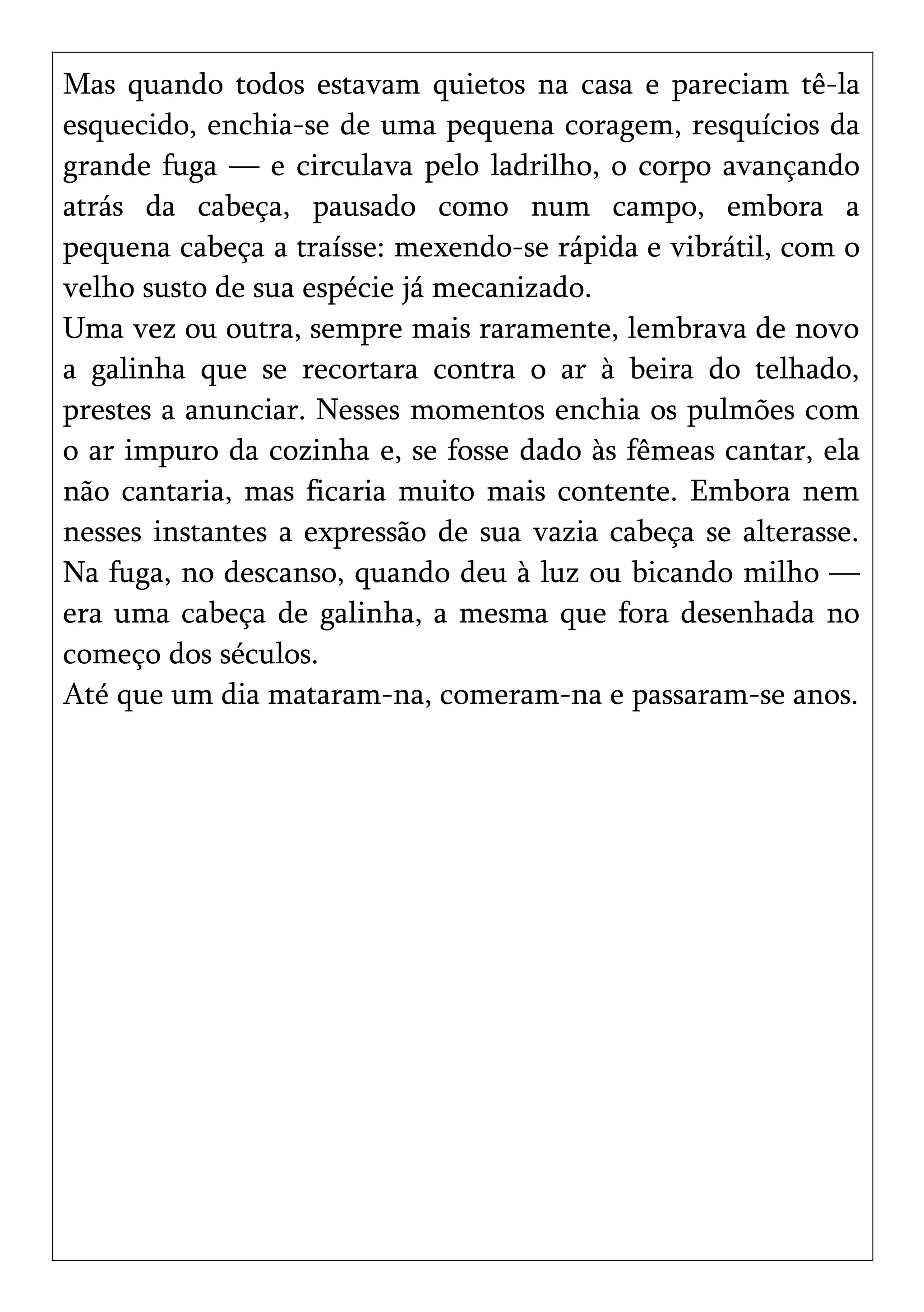 Mas quando todos estavam quietos na casa e pareciam tê-la
esquecido, enchia-se de uma pequena coragem, resquícios da
grande fuga — e circulava pelo ladrilho, o corpo avançando
atrás da cabeça, pausado como num campo, embora a
pequena cabeça a traísse: mexendo-se rápida e vibrátil, com o
velho susto de sua espécie já mecanizado.
Uma vez ou outra, sempre mais raramente, lembrava de novo
a galinha que se recortara contra o ar à beira do telhado,
prestes a anunciar. Nesses momentos enchia os pulmões com
o ar impuro da cozinha e, se fosse dado às fêmeas cantar, ela
não cantaria, mas ficaria muito mais contente. Embora nem
nesses instantes a expressão de sua vazia cabeça se alterasse.
Na fuga, no descanso, quando deu à luz ou bicando milho —
era uma cabeça de galinha, a mesma que fora desenhada no
começo dos séculos.
Até que um dia mataram-na, comeram-na e passaram-se anos.
 