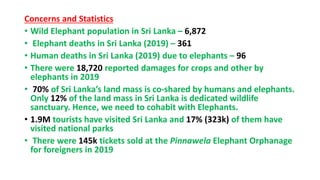 Concerns and Statistics
• Wild Elephant population in Sri Lanka – 6,872
• Elephant deaths in Sri Lanka (2019) – 361
• Human deaths in Sri Lanka (2019) due to elephants – 96
• There were 18,720 reported damages for crops and other by
elephants in 2019
• 70% of Sri Lanka’s land mass is co-shared by humans and elephants.
Only 12% of the land mass in Sri Lanka is dedicated wildlife
sanctuary. Hence, we need to cohabit with Elephants.
• 1.9M tourists have visited Sri Lanka and 17% (323k) of them have
visited national parks
• There were 145k tickets sold at the Pinnawela Elephant Orphanage
for foreigners in 2019
 