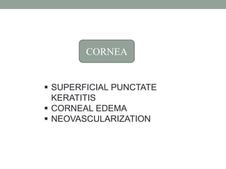 CORNEA
 SUPERFICIAL PUNCTATE
KERATITIS
 CORNEAL EDEMA
 NEOVASCULARIZATION
 