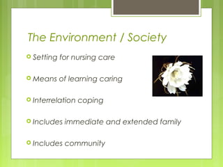 Theory of Human Caring | PPT
