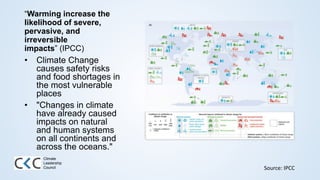 “Warming increase the
likelihood of severe,
pervasive, and
irreversible
impacts” (IPCC)
• Climate Change
causes safety risks
and food shortages in
the most vulnerable
places
• "Changes in climate
have already caused
impacts on natural
and human systems
on all continents and
across the oceans."
Source: IPCC
Climate
Leadership
Council
 