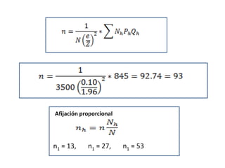 Afijación proporcional
n1 = 13, n1 = 27, n1 = 53
 