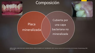 Composición
Placa
mineralizada
Cubierta por
una capa
bacteriana no
mineralizada
SØREN JEPSEN, JAMES DESCHNER, ANDREAS BRAUN, FRANK SCHWARZ & JO¨ RG EBERHARD. (2011). Calculus removal and the prevention of its formation. Periodontology 2000,
55, 167–188.
 