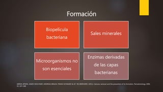 Formación
Biopelícula
bacteriana
Sales minerales
Microorganismos no
son esenciales
Enzimas derivadas
de las capas
bacterianas
SØREN JEPSEN, JAMES DESCHNER, ANDREAS BRAUN, FRANK SCHWARZ & JO¨ RG EBERHARD. (2011). Calculus removal and the prevention of its formation. Periodontology 2000,
55, 167–188.
 