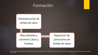 Formación
Sobresaturación de
fosfato de calcio
Placa Absorbe y
concentra Calcio y
Fosfatos
Deposición de
precursores de
fosfato de calcio
SØREN JEPSEN, JAMES DESCHNER, ANDREAS BRAUN, FRANK SCHWARZ & JO¨ RG EBERHARD. (2011). Calculus removal and the prevention of its formation. Periodontology 2000,
55, 167–188.
 