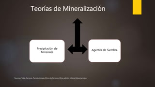 Teorías de Mineralización
Precipitación de
Minerales
Agentes de Siembra
Newman, Takei, Carranza. Periodontología Clínica de Carranza. 10ma edición, Editorial Interamericana.
 