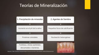 Teorías de Mineralización
1. Precipitación de minerales
Aumento en el pH de la saliva
Proteínas coloidales
Fosfatasa, células epiteliales
descamadas o bacterias.
2. Agentes de Siembra
Pequeños focos de calcificación
Nucleación heterogénea
Newman, Takei, Carranza. Periodontología Clínica de Carranza. 10ma edición, Editorial Interamericana.
 