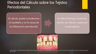 Efectos del Cálculo sobre los Tejidos
Periodontales
El cálculo puede considerarse
el resultado y no la causa de
la inflamación periodontal.
Es difícil distinguir entre los
efectos de cálculo o placa en
el periodonto
SØREN JEPSEN, JAMES DESCHNER, ANDREAS BRAUN, FRANK SCHWARZ & JO¨ RG EBERHARD. (2011). Calculus removal and the prevention of its formation. Periodontology 2000,
55, 167–188.
 