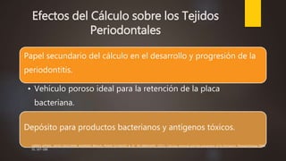 Efectos del Cálculo sobre los Tejidos
Periodontales
Papel secundario del cálculo en el desarrollo y progresión de la
periodontitis.
• Vehículo poroso ideal para la retención de la placa
bacteriana.
Depósito para productos bacterianos y antígenos tóxicos.
SØREN JEPSEN, JAMES DESCHNER, ANDREAS BRAUN, FRANK SCHWARZ & JO¨ RG EBERHARD. (2011). Calculus removal and the prevention of its formation. Periodontology 2000,
55, 167–188.
 